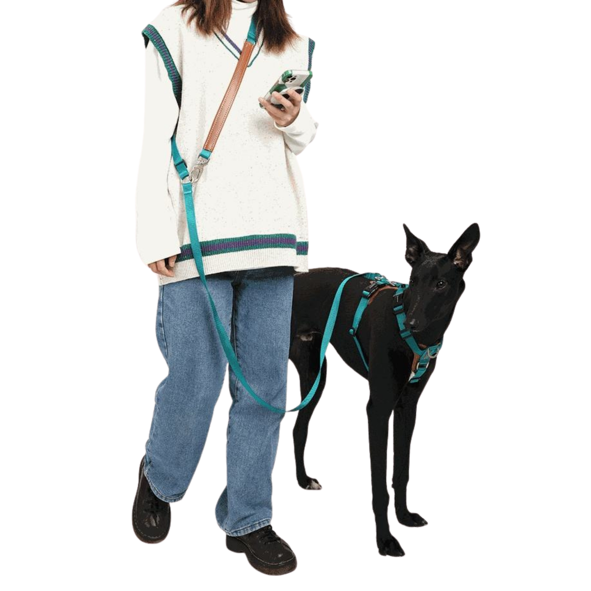 Arnês tático para cão