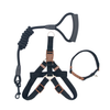 Trela e Peitoral Clássicos para Cão